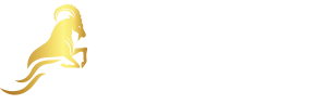 light logo